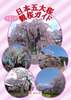 日本五大桜きまぐれ観桜ガイド