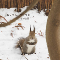 エゾリス、だいすき 冬の公園