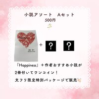 小説アソート Aセット