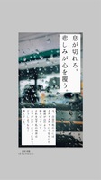 ポストカード/雨2