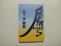 屋根にのぼる