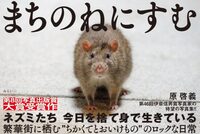 まちのねにすむ