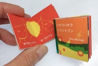 パキラパキラ