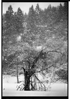 写真集 雪