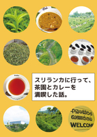 スリランカに行って、茶園とカレーを満喫した話。