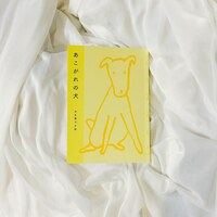 あこがれの犬