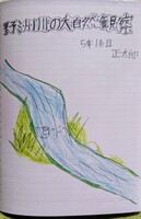 野洲川の大自然観察