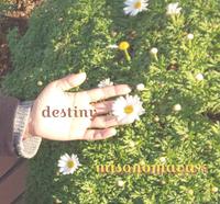 wishing spring free paper
