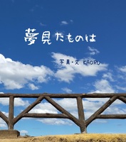 夢見たものは
