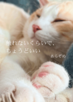 触れないくらいで、ちょうどいい