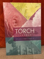TORCH