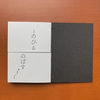 のびる / のばす