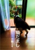 猫だまし