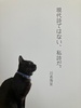 現代詩ではない、私詩だ。