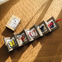 豆本 美しい蝶の図鑑