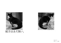 続きはまだ無い