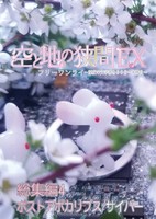 空と地の狭間EX 総集編4 ポストアポカリプス・サイバー