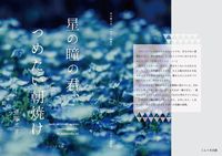 短編小説集「星の瞳の君、冷たい朝焼け」