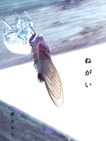 ねがい