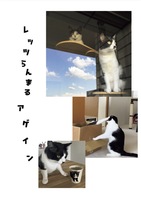 レッツらんまるアゲイン