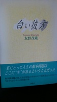 白い彼方