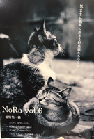 NoRa vol.6 【猫】
