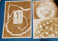 文フリの数日前から