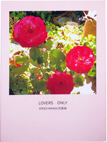 『LOVERS ONLY』