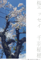 桜エッセイ
