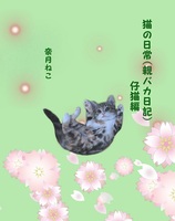 猫の日常(親バカ日記)