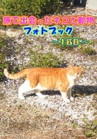 旅で出会ったネコと動物フォトブック 〜1匹目〜