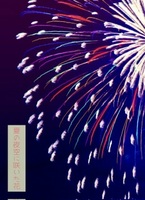 夏の夜空に咲いた花