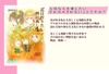 花は折りたし梢は高し