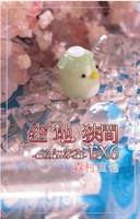 空と地の狭間 EX6