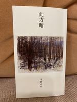 此方暗