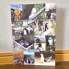 野生のペンギン探し旅 in New Zealand