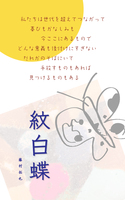 紋白蝶