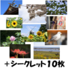 ポストカード写真集「景色の封筒」