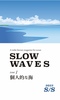 SLOW WAVES issue 01