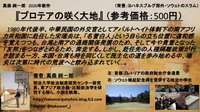 プロテアの咲く大地