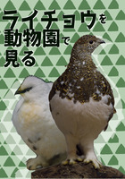 ライチョウを動物園で見る