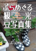 ぶらめぐる観光豆写真集