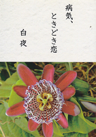 病気、ときどき恋