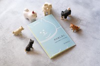 犬のあしあと-生活に犬が紛れ込んでいた日々の日記-