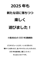2025年も新たな沼に落ちつつ楽しく遊びました!
