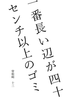 一番長い辺が四十センチ以上のゴミ