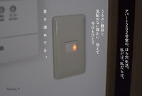 ポストカードC