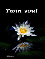 Twin soul