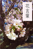 かざぐるま2018冬号「花言葉」
