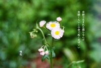 生きる